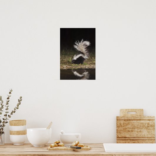 Schkunk, Mephitis mephitis Poster (Küche)