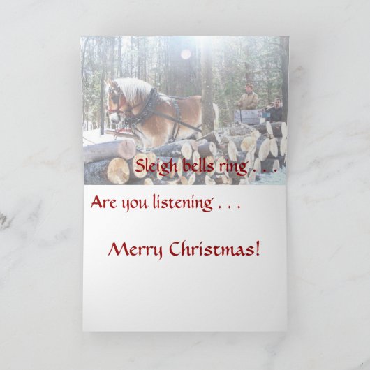 SCHLACHENBELLE RING Weihnachtskarte Feiertagskarte (Innenseite)