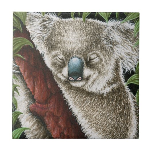 Schlacht-Koala-Tal Fliese (Vorderseite)