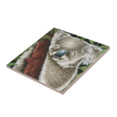 Schlacht-Koala-Tal Fliese (Seite)