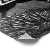 Schlacht von Cowpens Poster (Ecke)