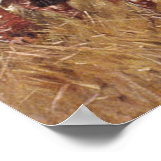 Schlacht von New Orleans Poster (Ecke)