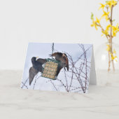 Schlacht zwischen Northern Flicker & Starling! Karte (Gelbe Blume)