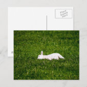 Schlachthof Postkarte (Vorne/Hinten)