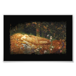 Schlachthöhe und Harfe Fotodruck