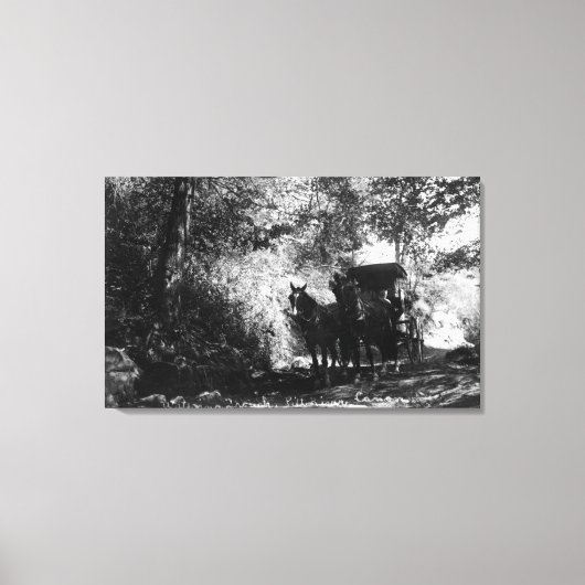 Schlachtpferde Leinwanddruck (Vorderseite)