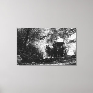 Schlachtpferde Leinwanddruck