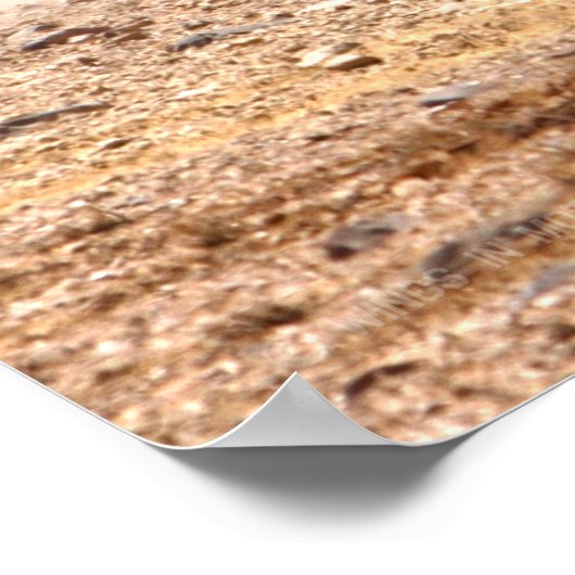 SCHLACHTTANK - Abrams M1 Poster (Ecke)