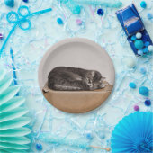 Schlachtung mit grauer Tabby Pappteller (Party)