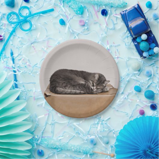 Schlachtung mit grauer Tabby Pappteller (Party)