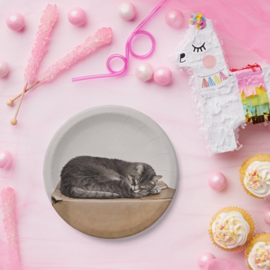 Schlachtung mit grauer Tabby Pappteller (Party)