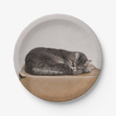 Schlachtung mit grauer Tabby Pappteller (Vorderseite)