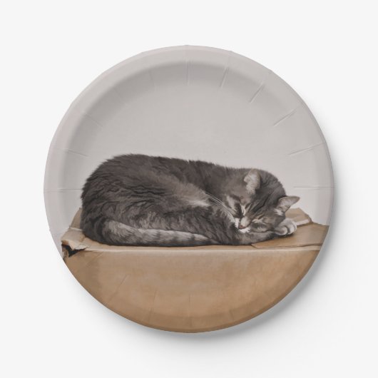 Schlachtung mit grauer Tabby Pappteller (Vorderseite)