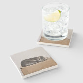 Schlachtung mit grauer Tabby Steinuntersetzer (Seitenansicht)