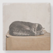 Schlachtung mit grauer Tabby Steinuntersetzer (Vorderseite)