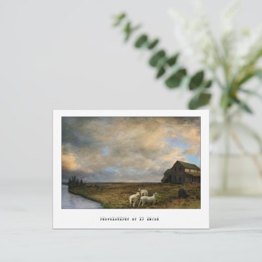 Schlachtung - postkarte (Stehend Vorderseite)