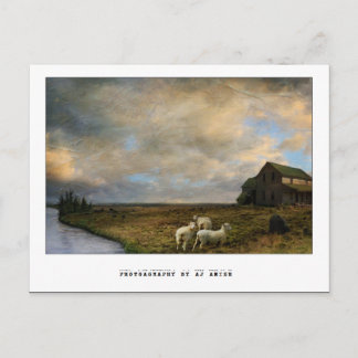 Schlachtung - postkarte