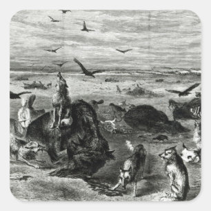 Schlachtung von Büffeln an den Ebenen Quadratischer Aufkleber