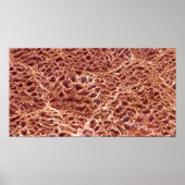 Schlacken auf Sand-Bar mit getrocknetem Schmutz II Poster (Vorne)