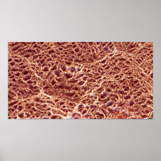 Schlacken auf Sand-Bar mit getrocknetem Schmutz II Poster (Vorne)