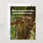 Schlaf-Affe Weckte mich auf, wenn die Quarantäne v Postkarte (Vorne/Hinten)