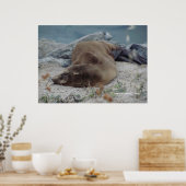 Schlaf am Felsen Poster (Küche)