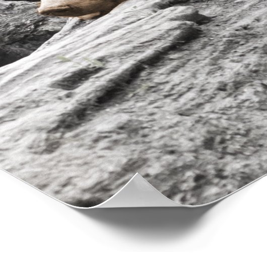 Schlaf Bär auf Log Rustikale Kabine Poster (Ecke)