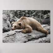 Schlaf Bär auf Log Rustikale Kabine Poster (Vorne)