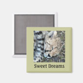 Schlaf Cheetah Cub Foto Magnet (Vorderseite/Rückseite)