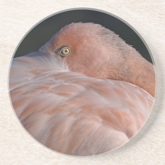 Schlaf Flamingo Untersetzer (Vorne)