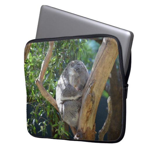 Schlaf-Koala Laptopschutzhülle (Vorderseite Links)
