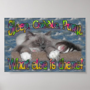 Schlaf, Kuschel, Purpur! Poster