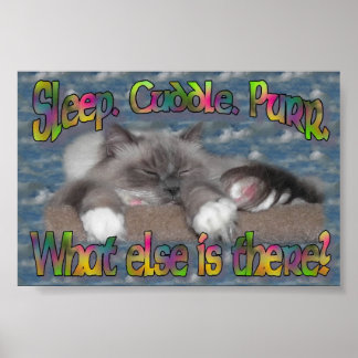 Schlaf, Kuschel, Purpur! Poster