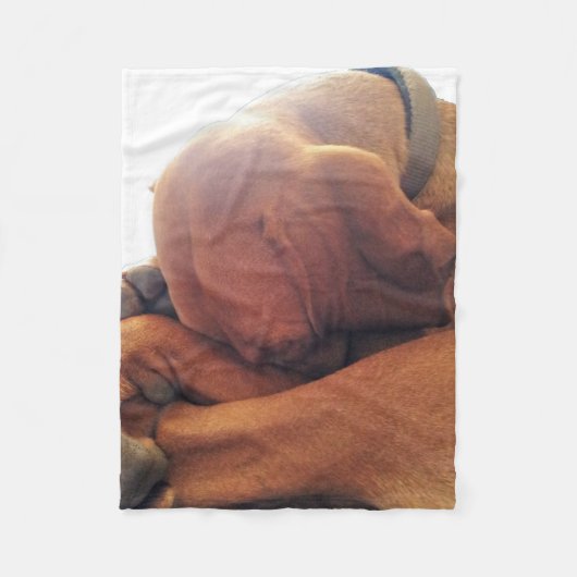 Schlaf-Zeit Fleecedecke (Vorderseite)