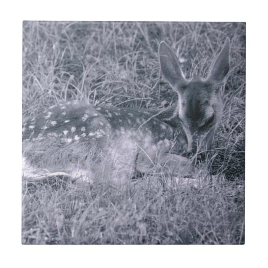 Schlafanzug Fliese (Vorderseite)