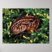 Schlafanzug Poster (Vorne)