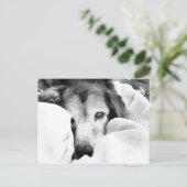 Schlafanzug Schwarz-weiß Postkarte (Stehend Vorderseite)