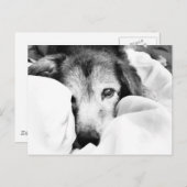 Schlafanzug Schwarz-weiß Postkarte (Vorne/Hinten)