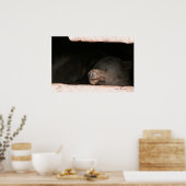 Schlafbär 2 poster (Küche)