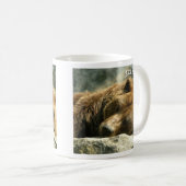 Schlafbär Kaffeetasse (VorderseiteRechts)