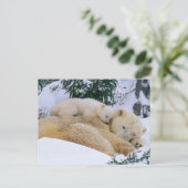 Schlafbär Postkarte (Stehend Vorderseite)