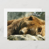 Schlafbär Postkarte (Vorne/Hinten)