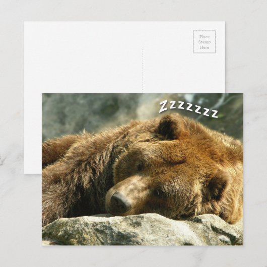 Schlafbär Postkarte (Vorne/Hinten)