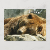 Schlafbär Postkarte (Vorderseite)