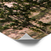 Schlafbärenduschen Nationalsee, MI Poster (Ecke)