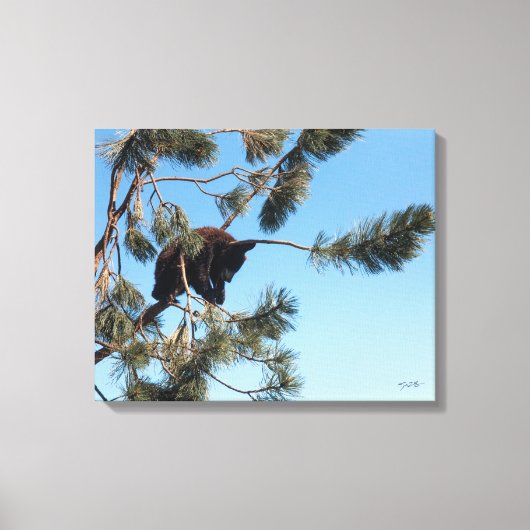 Schlafbärenkuppe Leinwanddruck (Vorderseite)