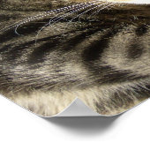 Schlafbehagen Poster (Ecke)