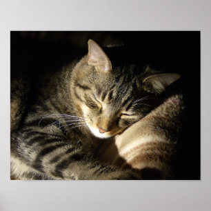 Schlafbehagen Poster