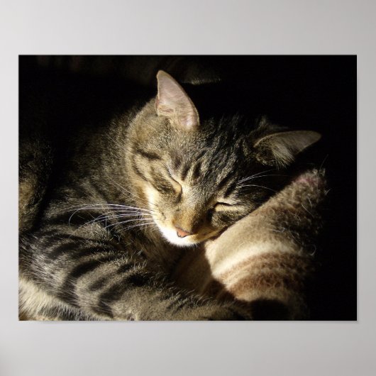 Schlafbehagen Poster (Vorne)