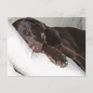 Schlafbehagen Postkarte